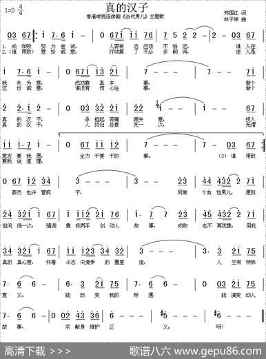 真的汉子（电视剧《当代男儿》主题歌、粤语） - 郑国江|林子祥