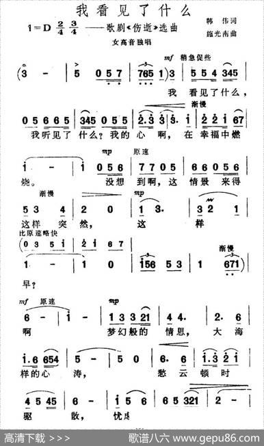 我看见了什么（歌剧《伤逝》选曲） - 韩伟|施光南
