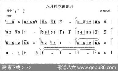 八月桂花遍地开