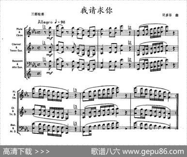 我请求你（木管乐器三部轮奏）|贝多芬