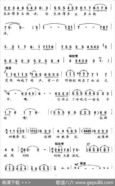 野骆驼 - 王金元|龙飞、王金元