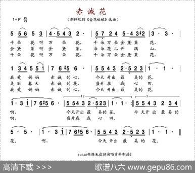 赤诚花