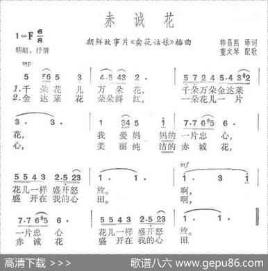 赤诚花