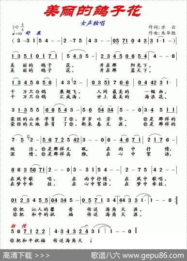 美丽的鸽子花 - 亦云|朱华胜