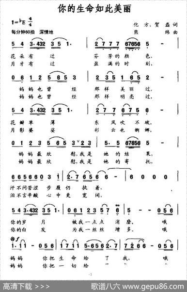 你的生命如此美丽 - 化方、贺磊|熊纬