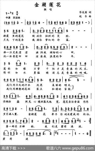 金湖莲花 - 华友国|赵乐