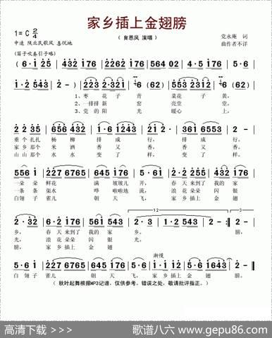 家乡插上金翅膀 - 党永庵