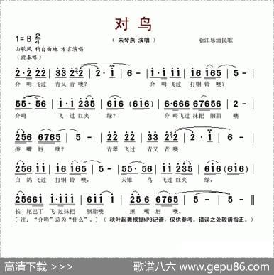 对鸟