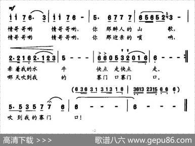 水牛背上的姑娘 - 陈晓明|孙思源
