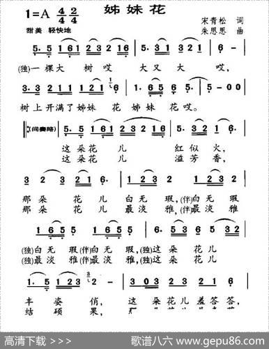 姊妹花（宋青松词朱思思曲） - 宋青松|朱思思