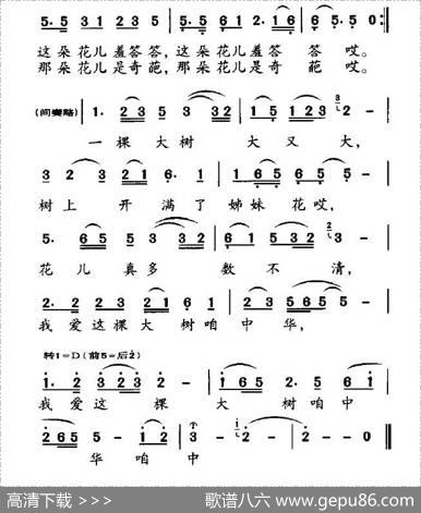 姊妹花（宋青松词朱思思曲） - 宋青松|朱思思