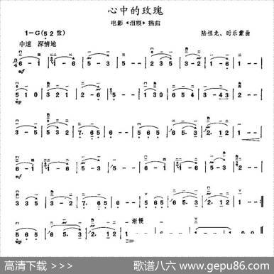 心中的玫瑰