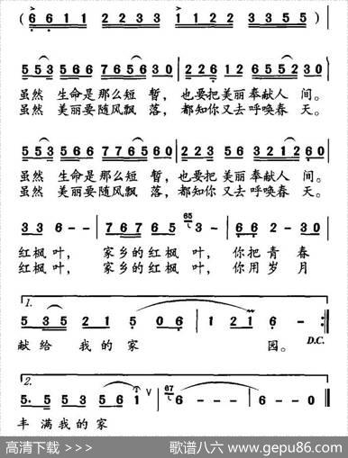 家乡的枫叶 - 马强|李符翔