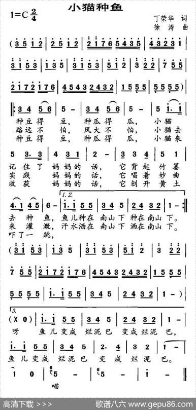 小猫种鱼 - 丁荣华|徐涛
