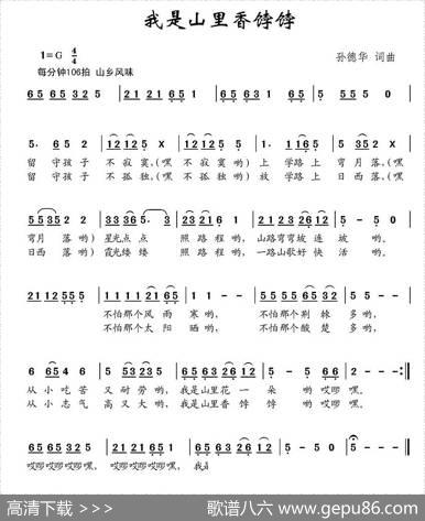 我是山里香饽饽 - 孙德华|孙德华
