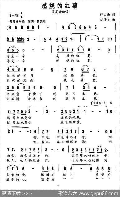 燃烧的红菊 - 佟文西|范曙光