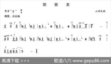 割荞麦|山西民歌