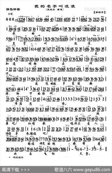 我的名字叫流浪（《情殇钟楼》选段、琴谱）