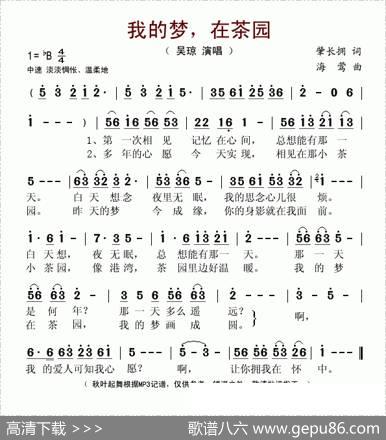 我的梦，在茶园 - 肇长拥|海莺