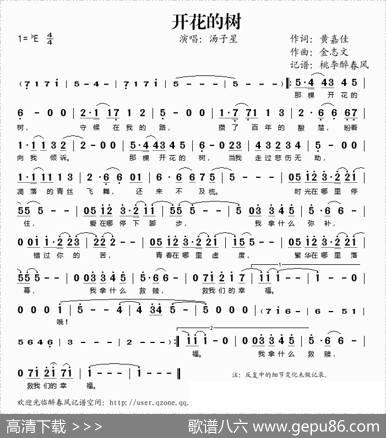 开花的树 - 黄嘉佳|金志文