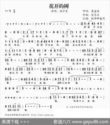 开花的树 - 黄嘉佳|金志文