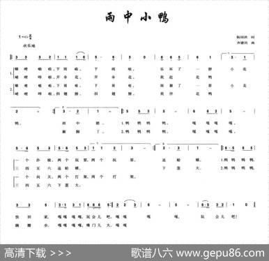 雨中小鸭 - 杨国洪|齐建民