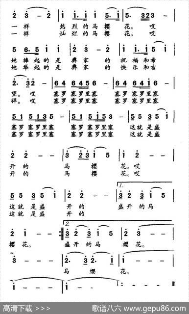 盛开的马樱花 - 李众|徐晓明