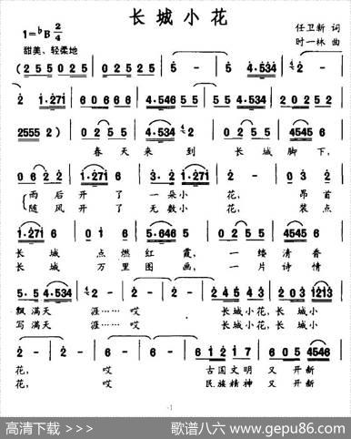 长城小花 - 任卫新|时一林