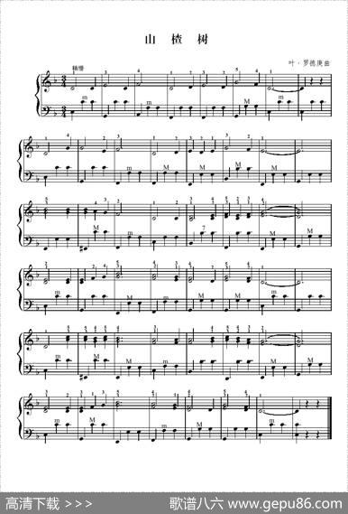 山楂树（二级练习曲）
