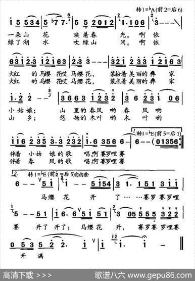 马樱花开 - 金鸿为|邓玉华