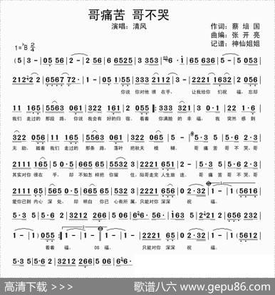 哥痛苦哥不哭 - 蔡培国|张开亮
