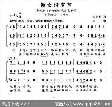 新女婿宣言（电视剧《新女婿时代》主题歌） - 徐安利|马丁