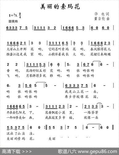美丽的索玛花 - 华也|董自伦