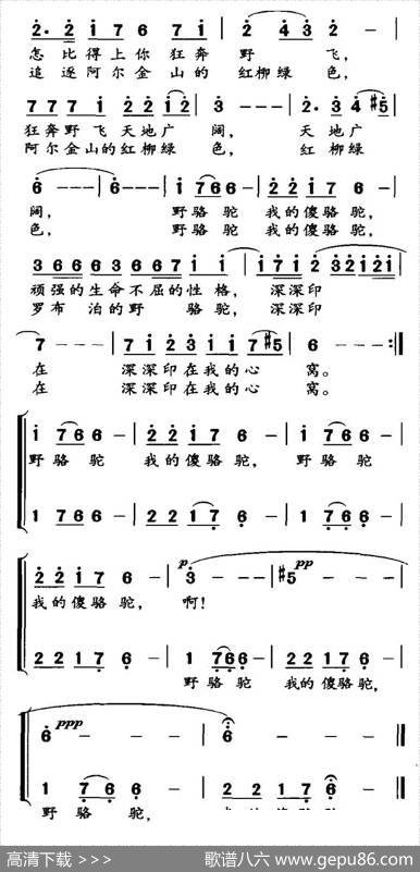 野骆驼傻骆驼（高枫词黄宇新曲） - 高枫|黄宇新、等