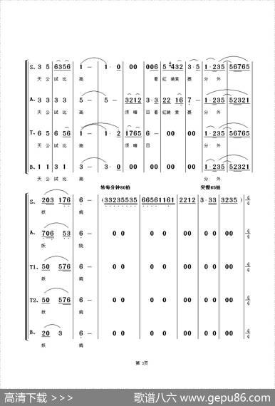 秘密（许彦雯（7岁）词朱顺宝曲） - 许彦雯（7岁）|朱顺宝