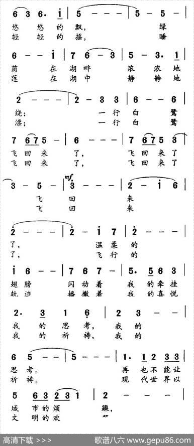 白鹭飞回来了 - 俞广德|黄宇新、等