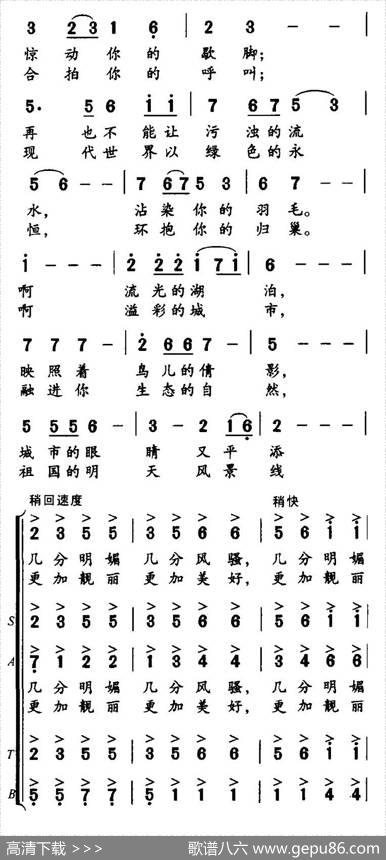 白鹭飞回来了 - 俞广德|黄宇新、等