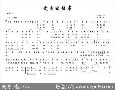 爱鸟的故事 - 李如会|茅地