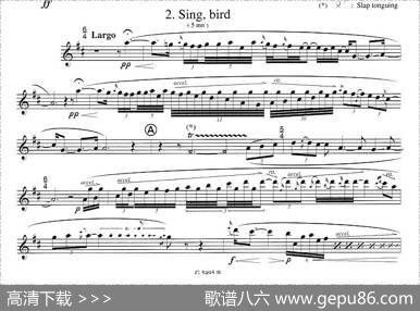 须川展也的《FuzzyBirdSonata》（Sing,Bird)毛绒鸟奏鸣曲之）