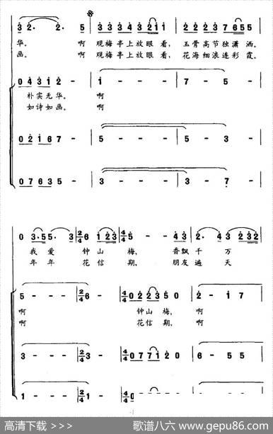 我爱钟山梅 - 戴晓泉、刘自强/陈恳|杜小甦