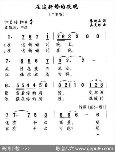 在这新婚的夜晚（二重唱） - 季新山|吴太邦