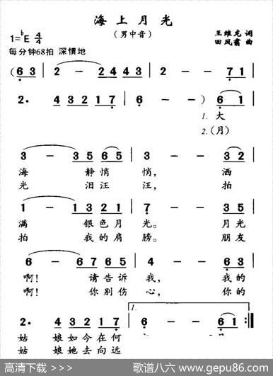 海上月光 - 王维龙|田凤翥