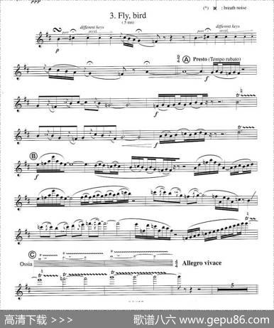 须川展也的《FuzzyBirdSonata》（Fly,Bird)毛绒鸟奏鸣曲之）