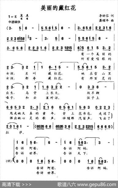 美丽的藏红花 - 李幼容|龚耀年