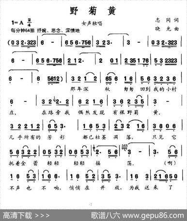 野菊黄（志同词晓光曲） - 志同|晓光