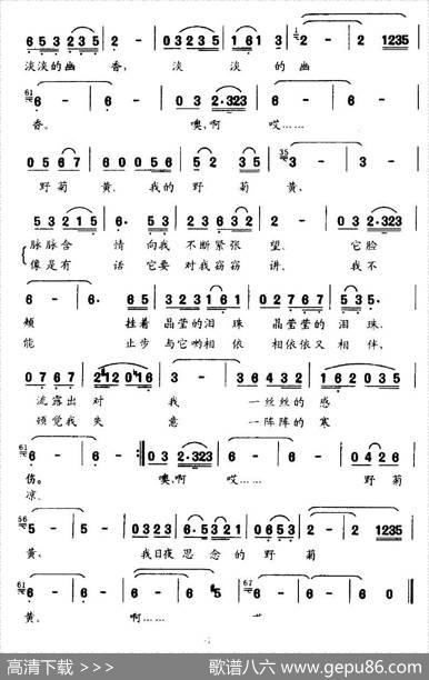 野菊黄（志同词晓光曲） - 志同|晓光
