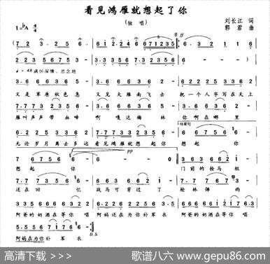 看见鸿雁就想起了你（刘长江词郭君曲） - 刘长江|郭君