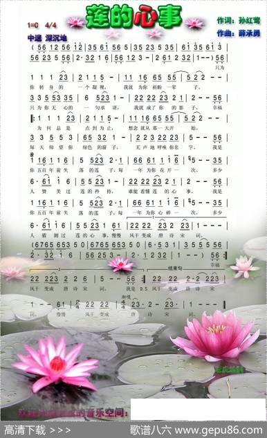 莲的心事（孙红莺词薛承勇曲） - 孙红莺|薛承勇
