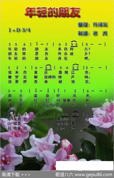 年轻的朋友|符泽刚整理、老虎制谱