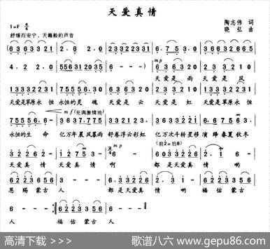 天爱真情 - 陶志伟|晓弘